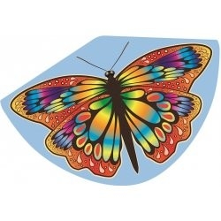 Günther drak Papillon 92x62 cm
